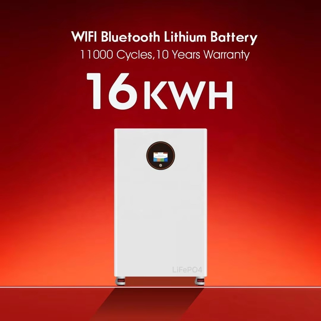 Renewable Energy 51.2V 314Ah 1 - Renewable Energy Is review and price